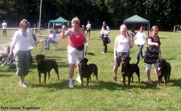 World Rottweiler Championship Show 2008