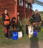 Deminas Piorina och Deminas Cordobez